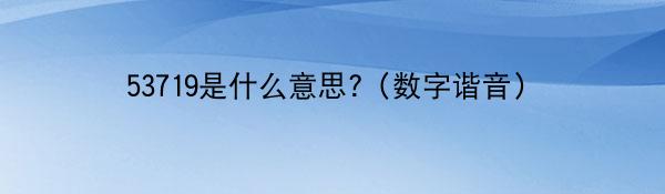 53719是什么意思?（数字谐音）