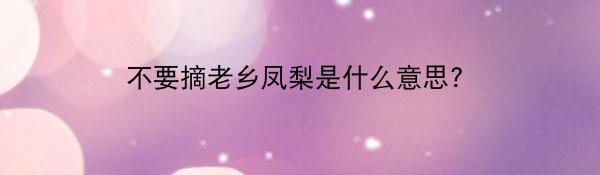不要摘老乡凤梨是什么意思?