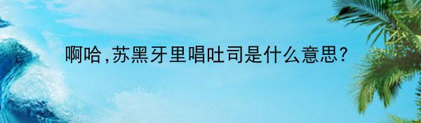 啊哈,苏黑牙里唱吐司是什么意思？