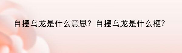 自摆乌龙是什么意思?自摆乌龙是什么梗?