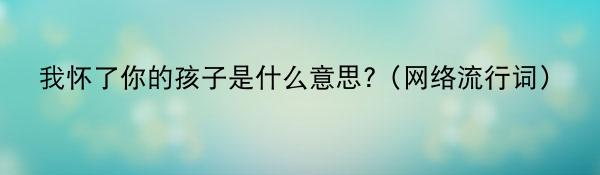 我怀了你的孩子是什么意思?(网络流行词)