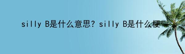 Silly B是什么意思? Silly B是什么梗-中华网河南