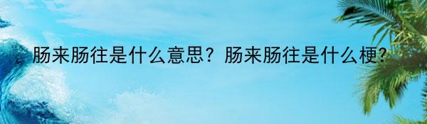 肠来肠往是什么意思？肠来肠往是什么梗？