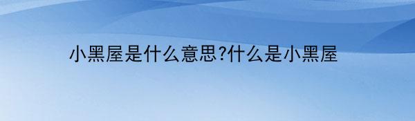 小黑屋是什么意思?什么是小黑屋