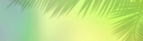 博尔特是什么意思?博尔特是谁?