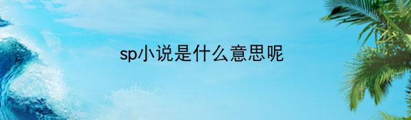sp小说是什么意思呢