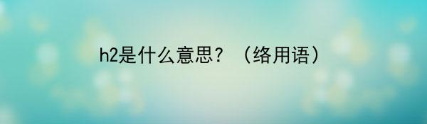 h2是什么意思？（络用语）