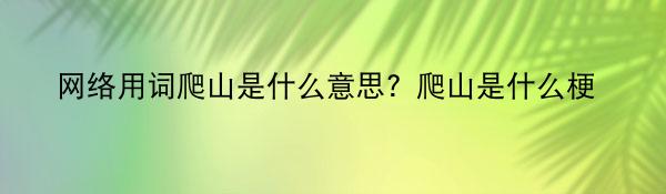 网络用词爬山是什么意思？爬山是什么梗