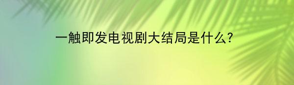 一触即发电视剧大结局是什么？