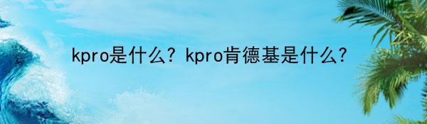 kpro是什么？kpro肯德基是什么？