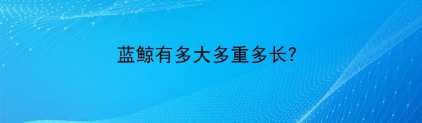 蓝鲸有多大多重多长？
