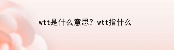 wtt是什么意思？wtt指什么