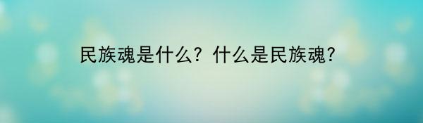 民族魂是什么？什么是民族魂？