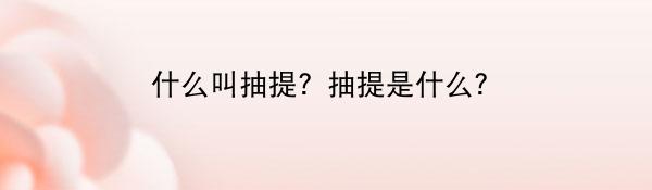 什么叫抽提?抽提是什么?