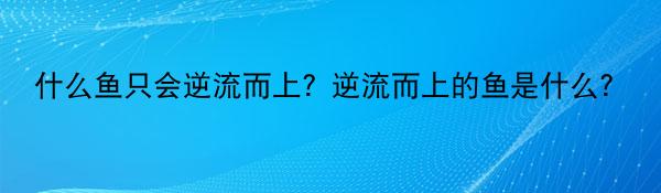 什么鱼只会逆流而上？逆流而上的鱼是什么？