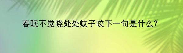 春眠不觉晓处处蚊子咬下一句是什么？