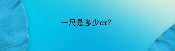 一尺是多少cm？