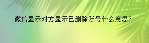 微信对方显示已删除账号什么意思？