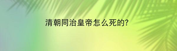 清朝同治皇帝怎么死的？