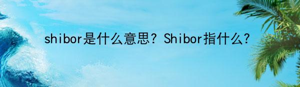 shibor是什么意思？Shibor指什么？