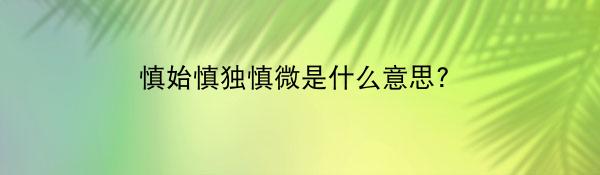 慎始慎独慎微是什么意思?