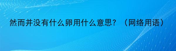 然而并没有什么卵用什么意思？（网络用语）