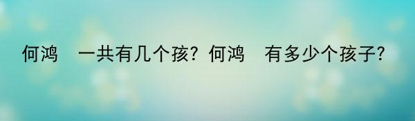 何鸿燊一共有几个孩？何鸿燊有多少个孩子？