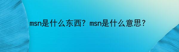 msn是什么东西？msn是什么意思？