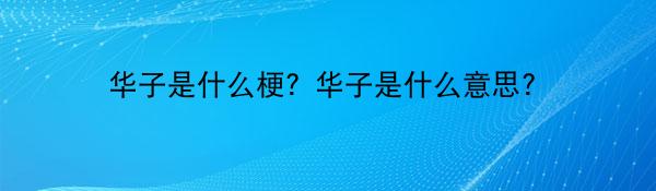 华子是什么梗？华子是什么意思？