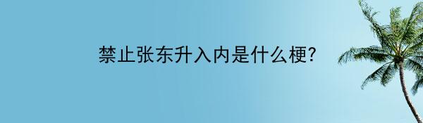 禁止张东升入内是什么梗？