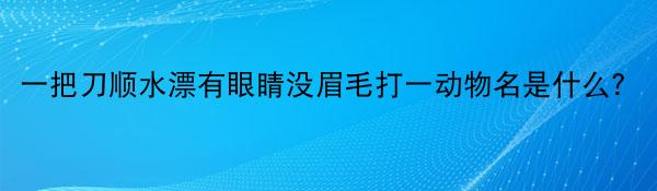 一把刀顺水漂有眼睛没眉毛打一动物名是什么？