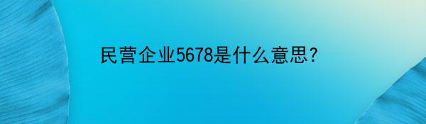 民营企业5678是什么意思？