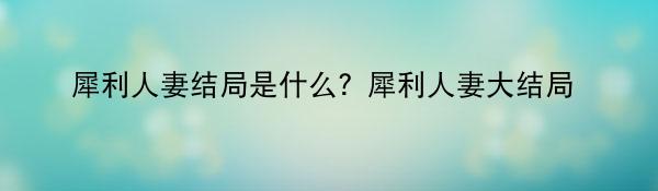 犀利人妻结局是什么？犀利人妻大结局