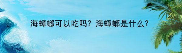 海蟑螂可以吃吗?海蟑螂是什么?