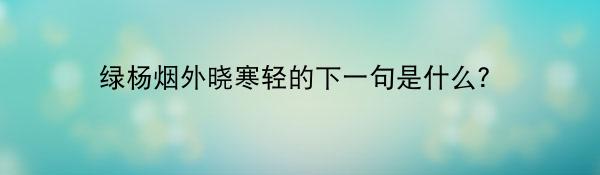 绿杨烟外晓寒轻的下一句是什么？