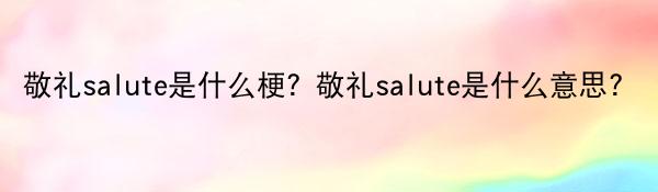 敬礼salute是什么梗？敬礼salute是什么意思？