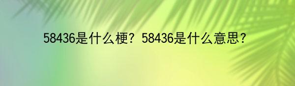 58436是什么梗？58436是什么意思？