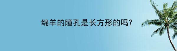绵羊的瞳孔是长方形的吗？