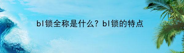 bl锁全称是什么？bl锁的特点
