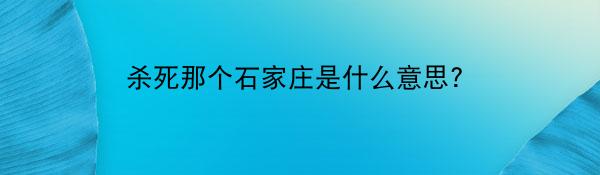 杀死那个石家庄是什么意思？