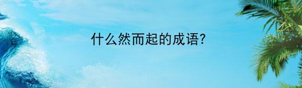 什么然而起的成语？