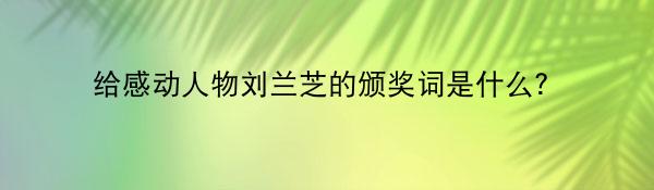 给感动人物刘兰芝的颁奖词是什么？