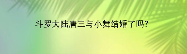 斗罗大陆唐三与小舞结婚了吗？