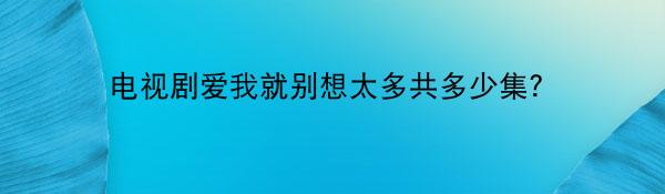 电视剧爱我就别想太多共多少集？