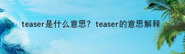 teaser是什么意思？teaser的意思解释