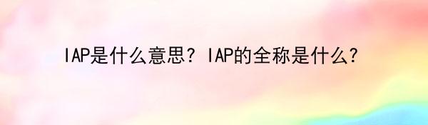 IAP是什么意思？IAP的全称是什么？