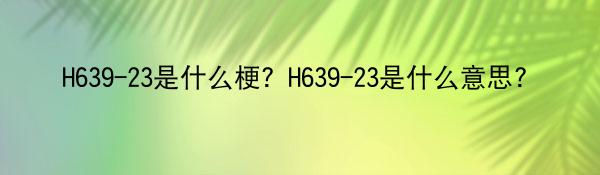 H639-23是什么梗？H639-23是什么意思？