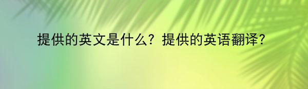 提供的英文是什么？提供的英语翻译？