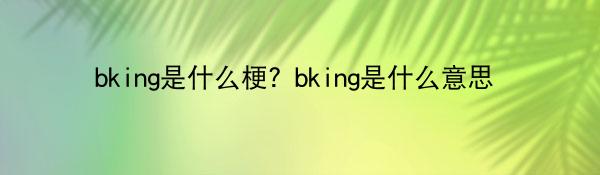 bking是什么梗？bking是什么意思