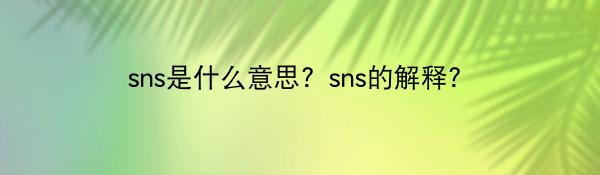 sns是什么意思？sns的解释？